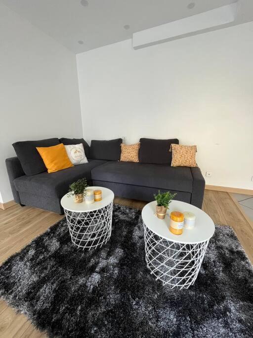 Superbe Appartement Moderne En Rez-De-Chaussee Ozoir-la-Ferrière المظهر الخارجي الصورة